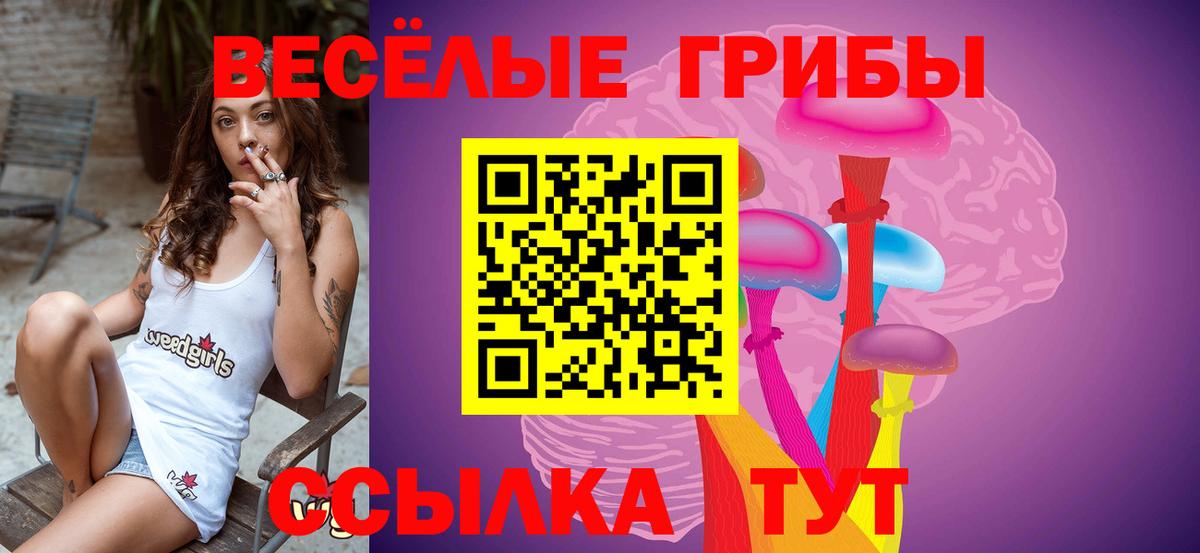 Шахты  Галлюциногенные грибы Psilocybine cubensis  Вход с VPN  Псилоцибиновые грибы Psilocybine cubensis 