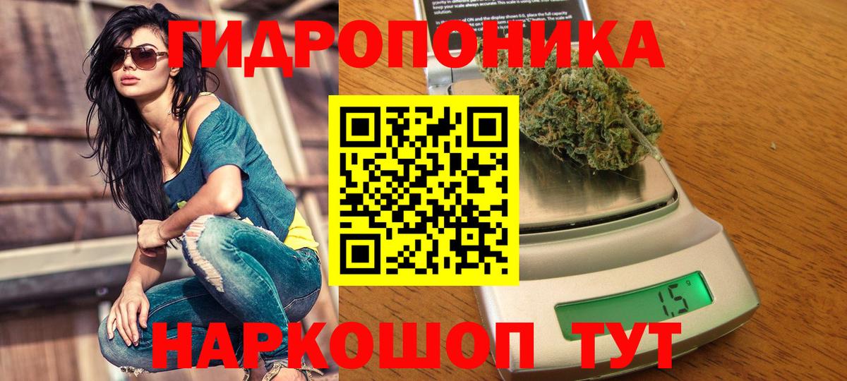 Шишки марихуана Bruce Banner Шахты